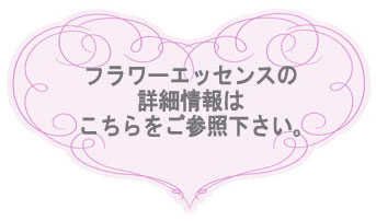 �t�����[�G�b�Z���X�̃n�[�g�T�|�[�g�V�X�e��